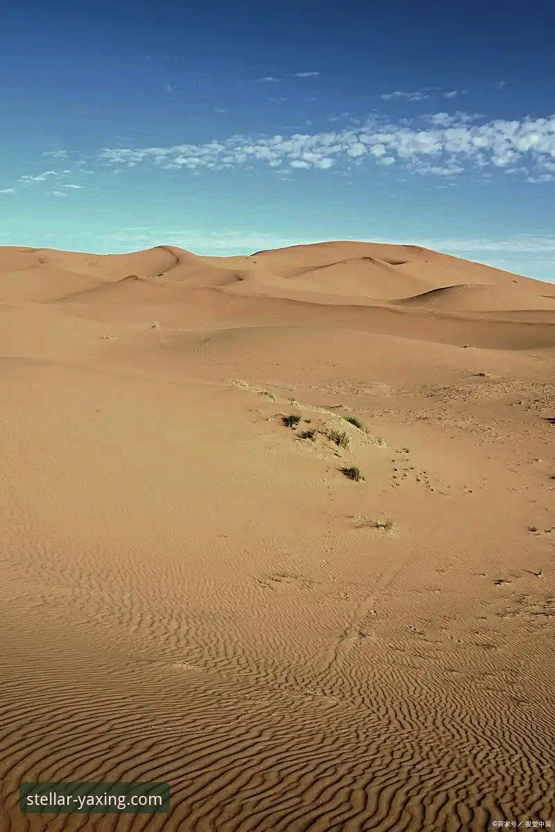 沙漠天堂的召唤 vs 中东滞留的困境：顶级球员的印第安维尔斯“生死时速”