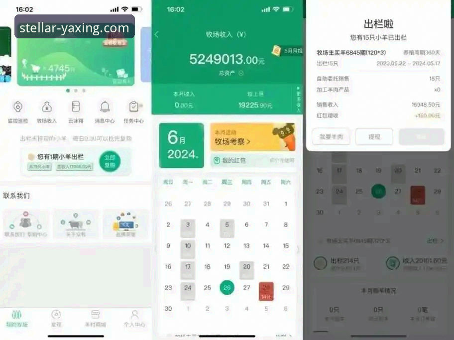 如何在亚星官网平台顺利完成最新版提现？这份教程请收好！